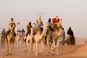 Camel Racing